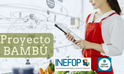 Proyecto BAMBÚ