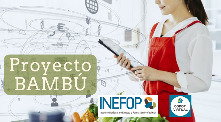 Proyecto BAMBÚ