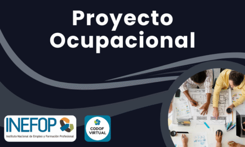 Proyecto Ocupacional